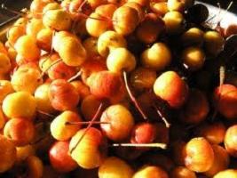 Jam от райски ябълки: рецепта за ароматни заготовки за зимата
