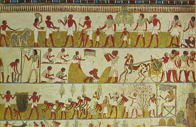 Древните фермери в Египет. Древен Египет: Селско стопанство