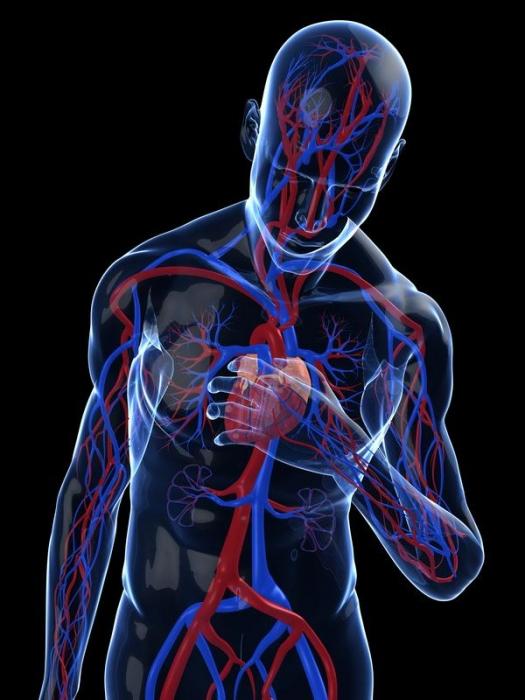 Как да се лекува сърдечна аритмия: някои методи